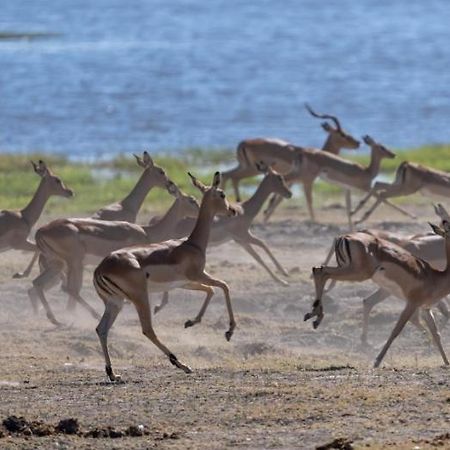 Jackalberry Chobe Hotell Kasane Exteriör bild